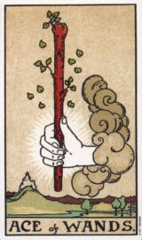 online tarot readings